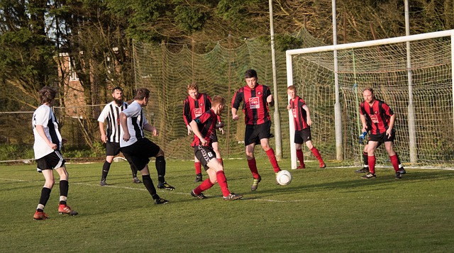 詹姆斯已经 詹姆斯已经