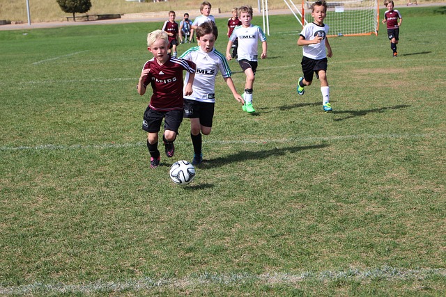 打造球迷文 打造球迷文