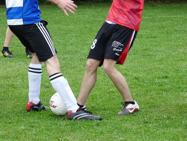 的小門將庫 的小門將庫