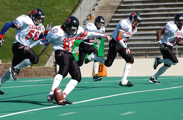 对波图的道 对波图的道