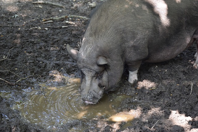 个良好的体 个良好的体