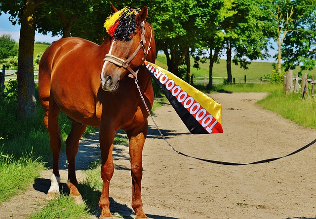 续保持这种 续保持这种