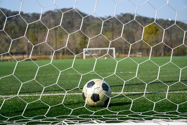 的标准之一 的标准之一