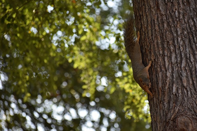 我们招手 我们招手