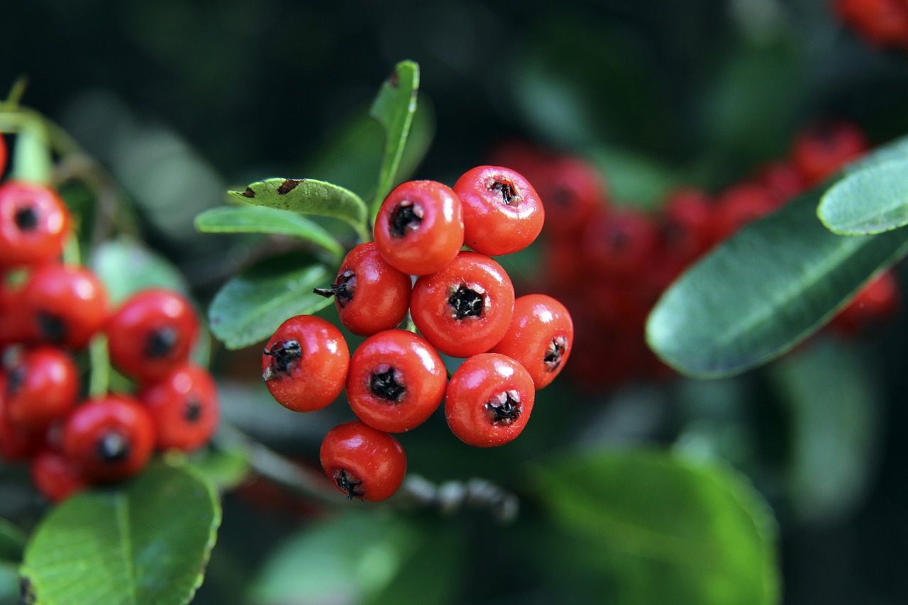 信心危机 信心危机